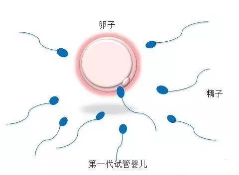 供卵代怀公司门诊